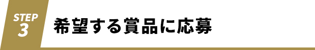 希望する賞品に応募